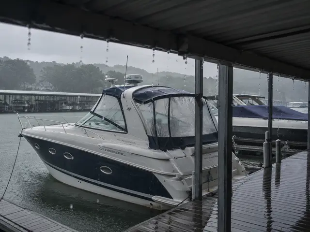 Cabin Cruiser